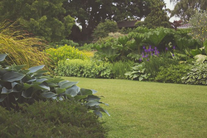 Creating Sustainable Landscapes: A Guide by Lawn Care Spring Branch TX